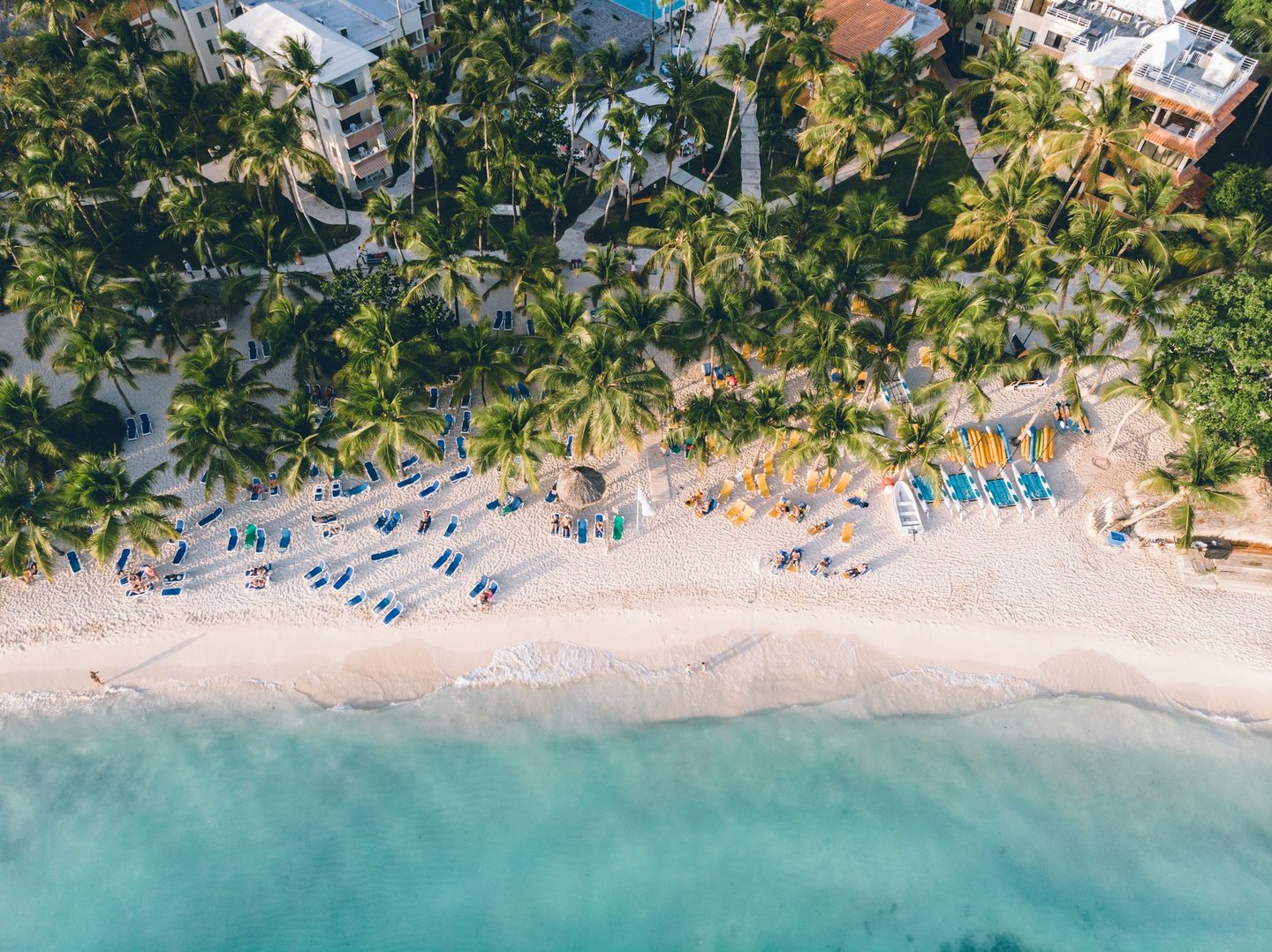Beach and palms in Bayahíbe