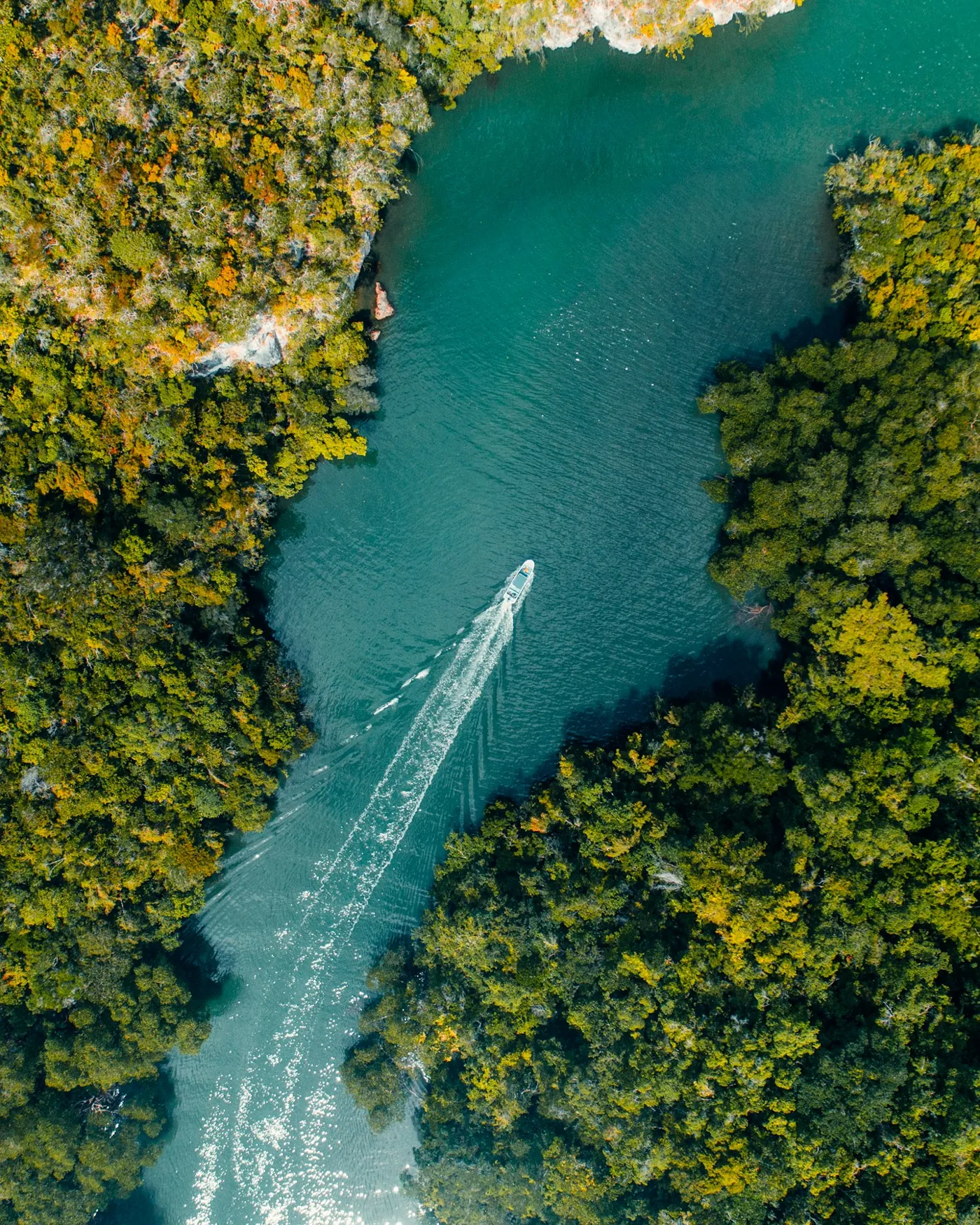 Vista aérea de la costa y naturaleza de Samaná